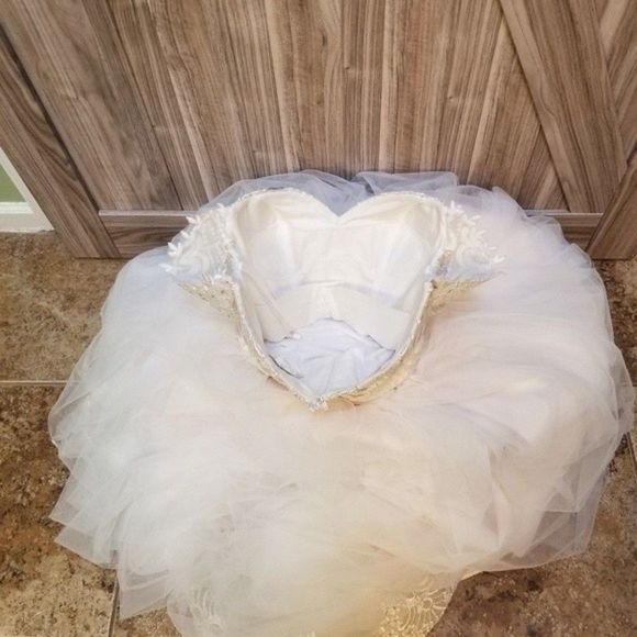 BHLDN Carrafina Full Tulle Ballgown White Wedding Dress Cathedral Veils - Picture 11 of 16